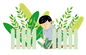 Decenio de la Educación para el Desarrollo Sostenible (DEDS)