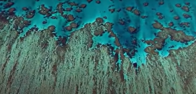 LA CHISPA DE LA VIDA