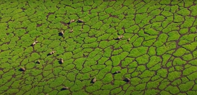 EL GRAN PRIVILEGIO DE LA VIDA