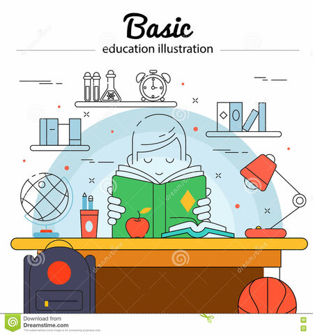 Concepto de educación básica