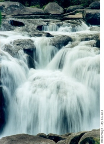 McLaren Falls Park and Omanawa Falls