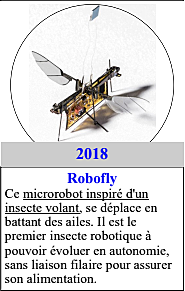 2018 : Robofly