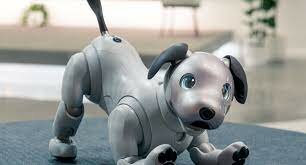 AIBO
