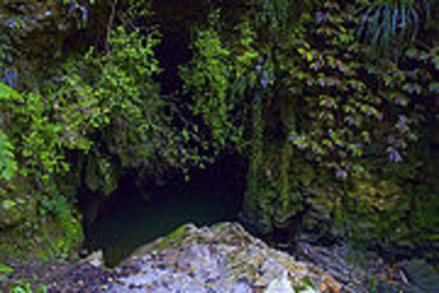Waitomo Caves