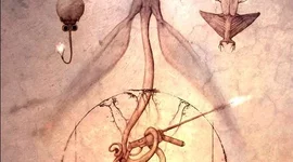 Timeline: All Tomorrows