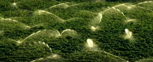 PROBLEMATICA AMBIENTAL DEBIDO A LA AGRICULTURA