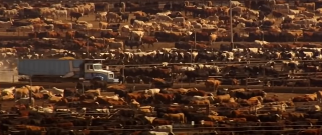 CRECIMIENTO POBLACIONAL