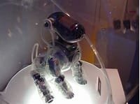 SONY releases the AIBO ERS-7