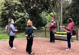 Surgimiento de organización