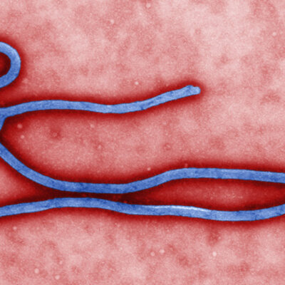 Timeline: West Africa Ebola Pandemic