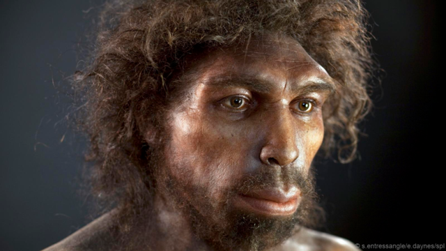 Homo heidelbergensis