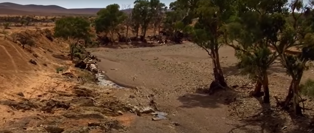 NUESTRO PLANETA SE CONSUME CADA VEZ MAS