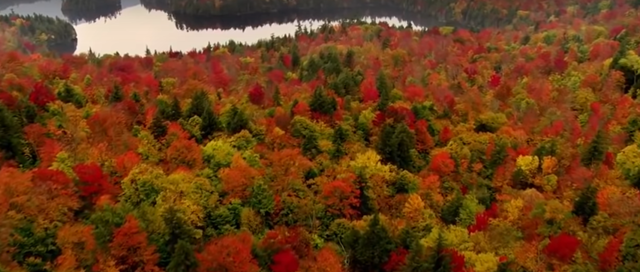 ESTAMOS EN LA CAPACIDAD DE CAMBIAR EL MUNDO