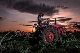 Hace más de 150000 años