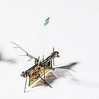 Robot Fly