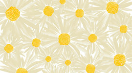 Timeline: My reading history