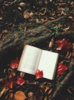 Beginning Print Awareness