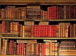 My current reading experience