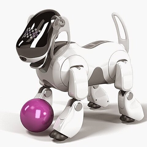 Aibo