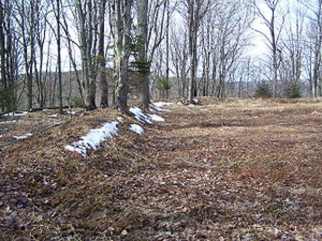 Lee's First Battle in the Civil war