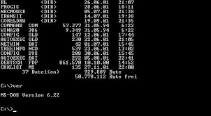 1966.- Nace el Disk Operating System, o simplemente nace DOS