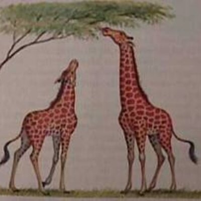 Timeline: Teorías pre darwinianas