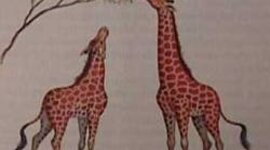 Timeline: Teorías pre darwinianas