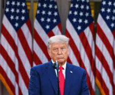 (3) Donald Trump's Election