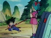 Meeting Bulma