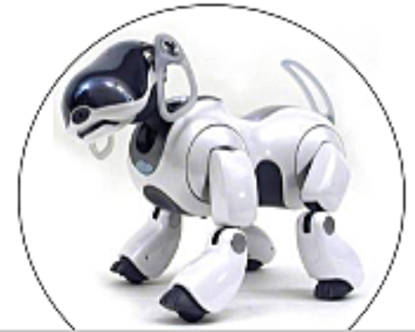 1999 : Aibo