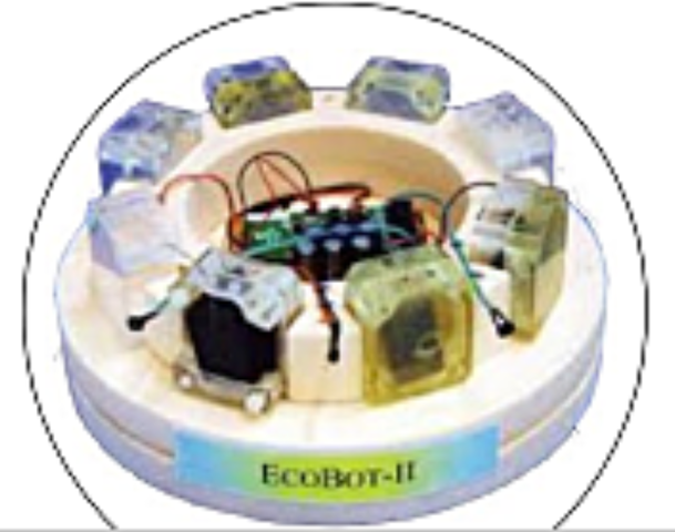 2010 Ecobot-III