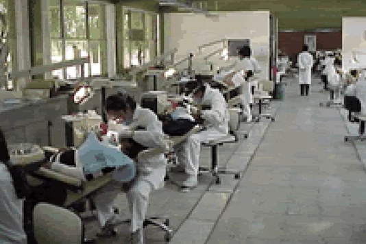 Fundación de la Facultad de Odontología (UAEM).