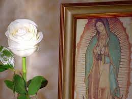 Televisa lanza al aire La Rosa de Guadalupe
