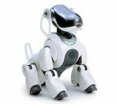 Aibo