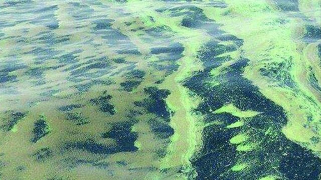 3.500 millones de años