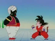 Goku met Mr. Popo