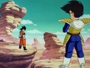 Fight with Vegeta