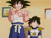 Training his Son Gohan