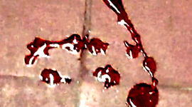 Timeline: Deadly Compulsions Titles Timeline