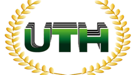 Timeline: Etapas para una correcta implementación de ISO 9001:2015