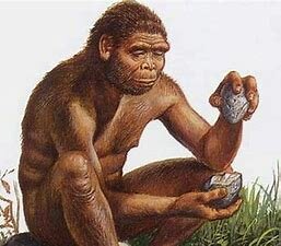 HOMO ERECTUS