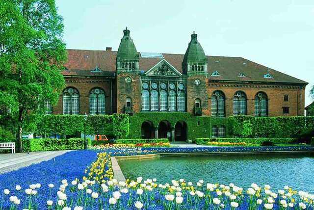 Atividade Profissional