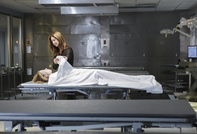 Body of Proof, s.1, Canal Plus