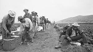 “Programa Bracero”.