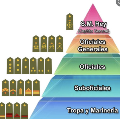 Organización militar