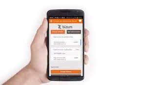 Bizum (fet econòmic)