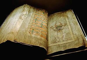 Libros Adversia y Codex.