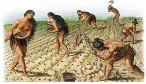 Ganadería y Agricultura - Asentamientos Permanentes