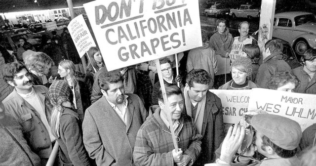 Table Group Boycott (Delano Grape Strike.)