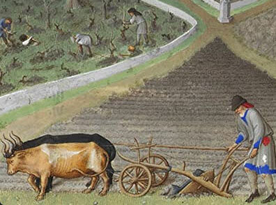 Europe's Manorial Societies